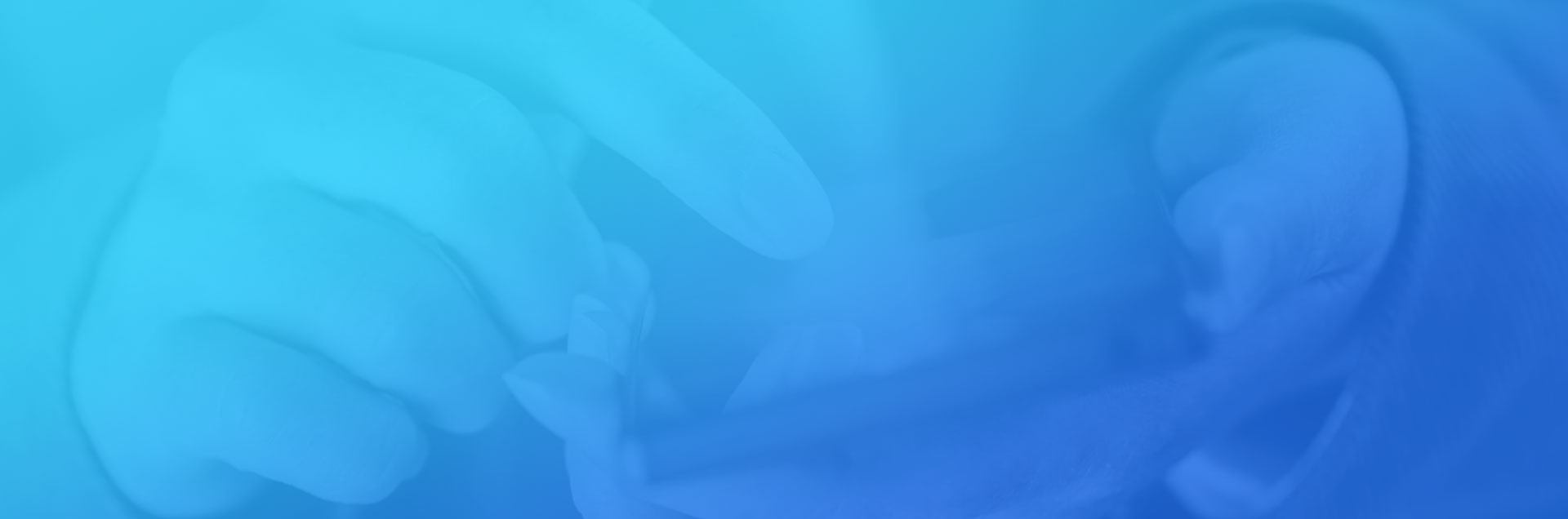 一網(wǎng)天行-網(wǎng)站建設(shè)|微信開(kāi)發(fā)|小程序開(kāi)發(fā)