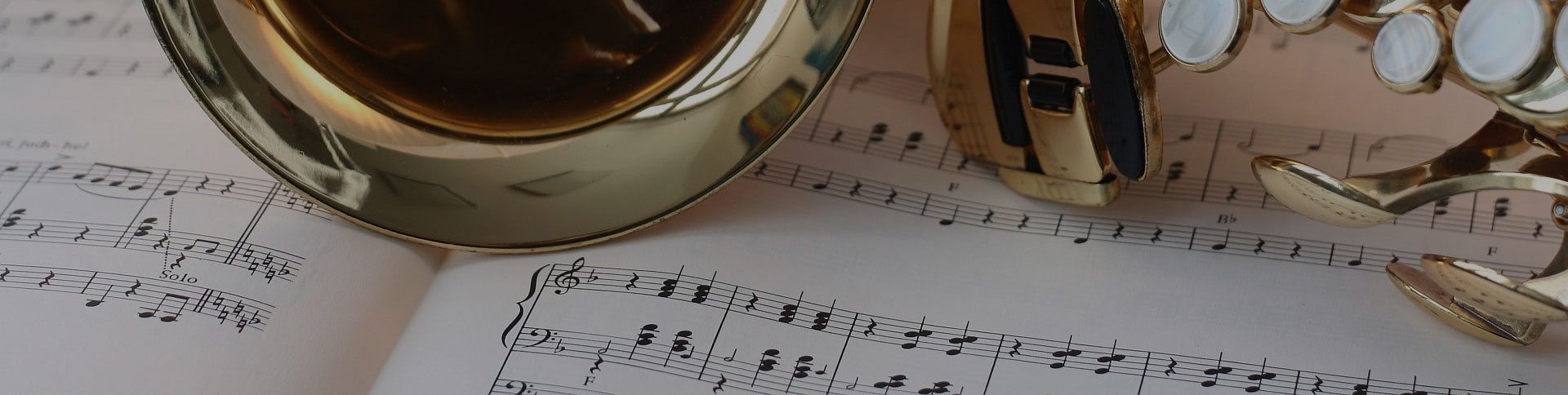 中國(guó)民族管弦樂(lè)學(xué)會(huì)-微信考試證書(shū)平臺(tái)|一網(wǎng)天行-網(wǎng)站建設(shè)小程序APP系統(tǒng)軟件開(kāi)發(fā)公司