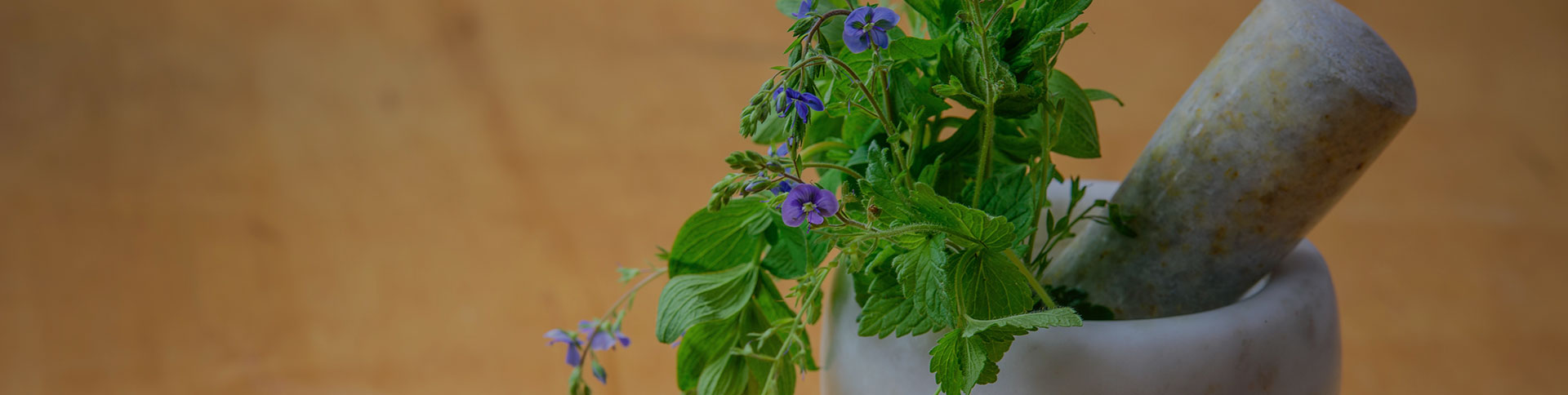 種藥吧-中藥供需信息發(fā)布微信平臺|一網(wǎng)天行-網(wǎng)站建設(shè)小程序APP系統(tǒng)軟件開發(fā)公司