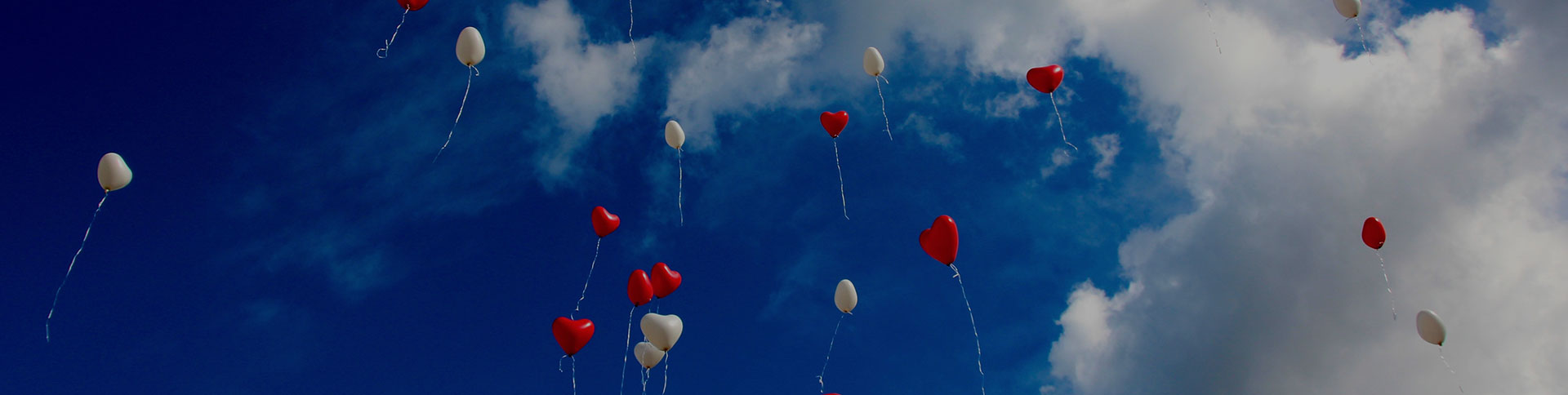 大眾籌-在線眾籌網(wǎng)站平臺|一網(wǎng)天行-網(wǎng)站建設小程序APP系統(tǒng)軟件開發(fā)公司