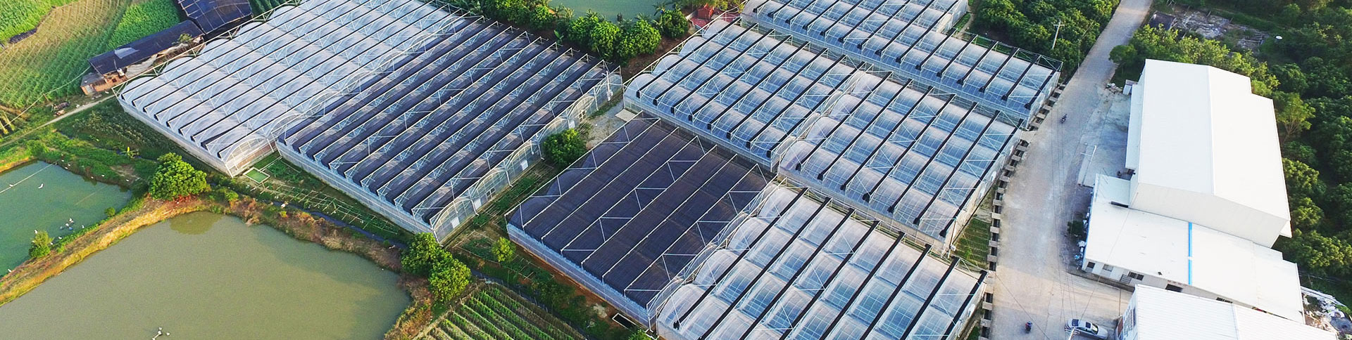 健康產(chǎn)業(yè)集團(tuán)公司品牌宣傳網(wǎng)站|一網(wǎng)天行-網(wǎng)站建設(shè)小程序APP系統(tǒng)軟件開發(fā)公司